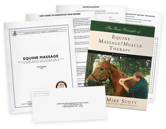 Equine Massage