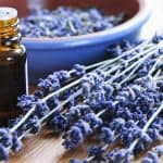 Brown glass essential oil bottle on a table beside stalks of lavender flowers