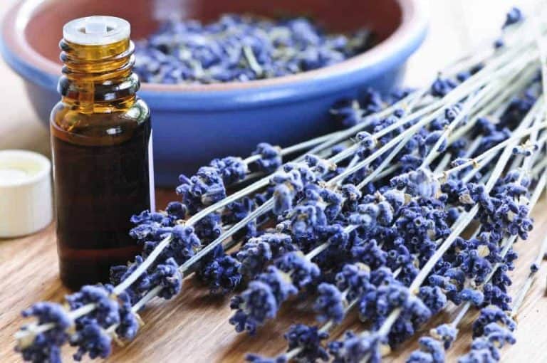 Brown glass essential oil bottle on a table beside stalks of lavender flowers